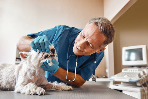 Best Emergency Treatment for Dental Infections or Abscesses in Slocom, AL